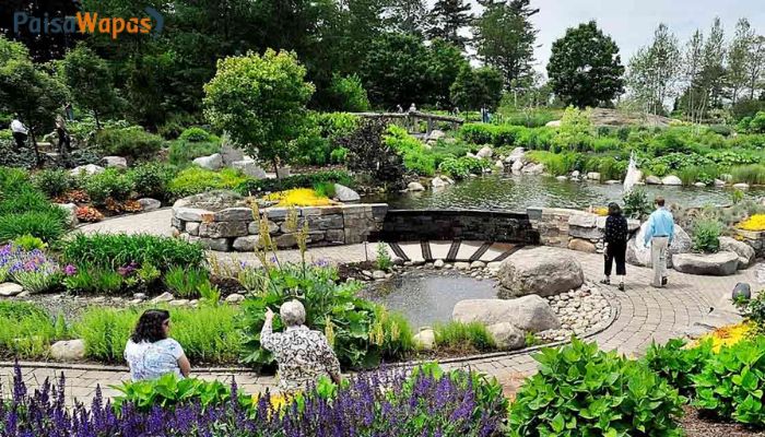 Garden Of Five Senses, Saidul Ajaib