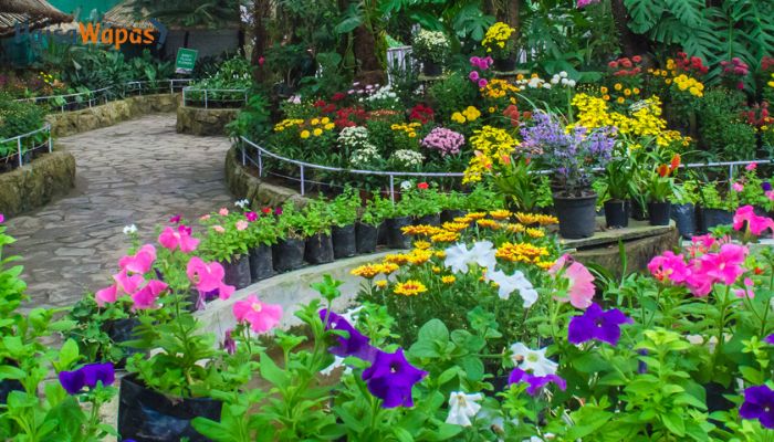 Flower Exhibition Center