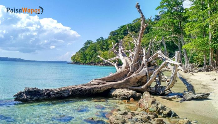 Chidiyatapu andaman tourist place