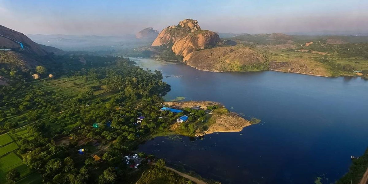 QMango Forest resort