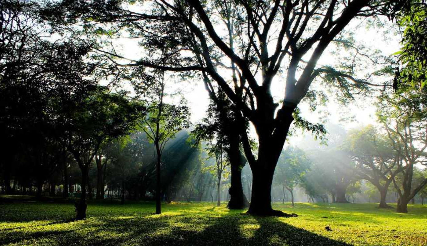 Cubbon Park | PLACES TO VISIT IN BANGALORE FOR COUPLES