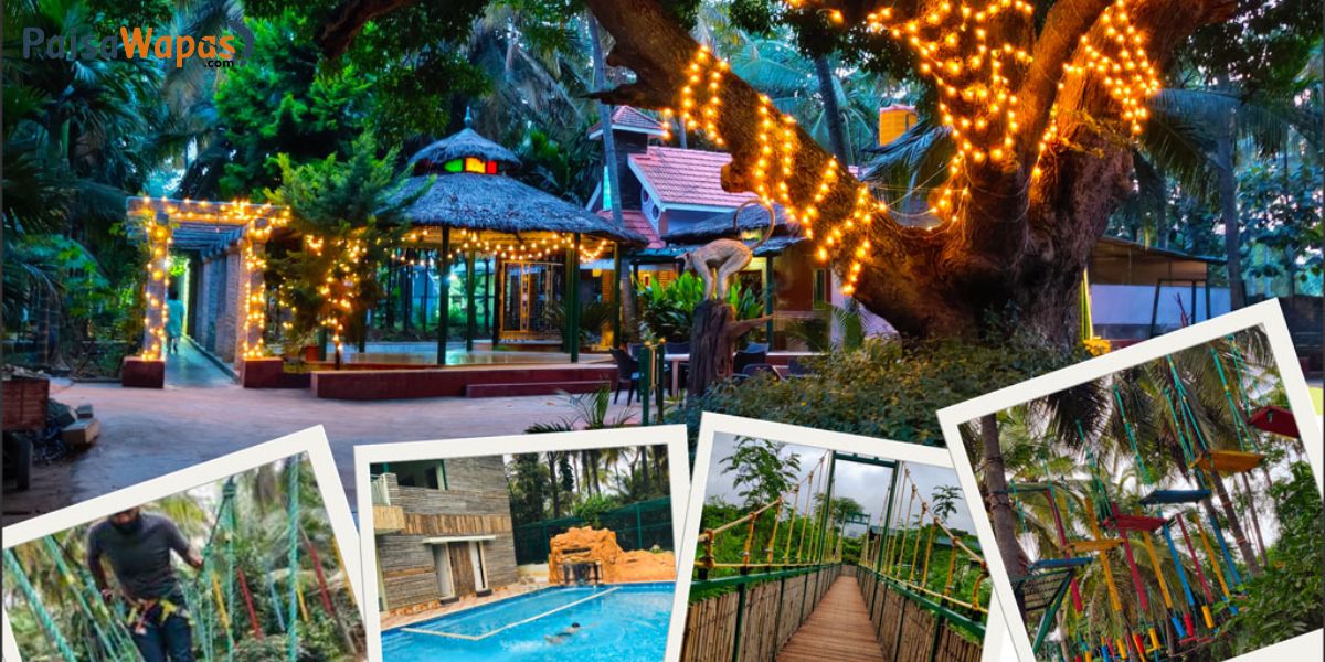 neladasiri featured image