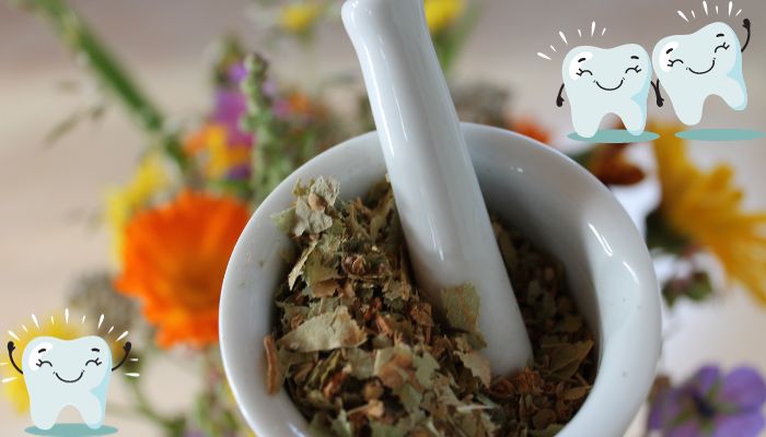 Natural remedies for toothaches