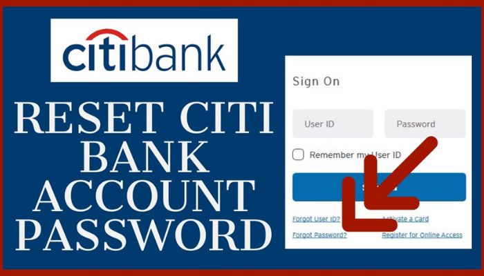 Citi Bank Credit Cards