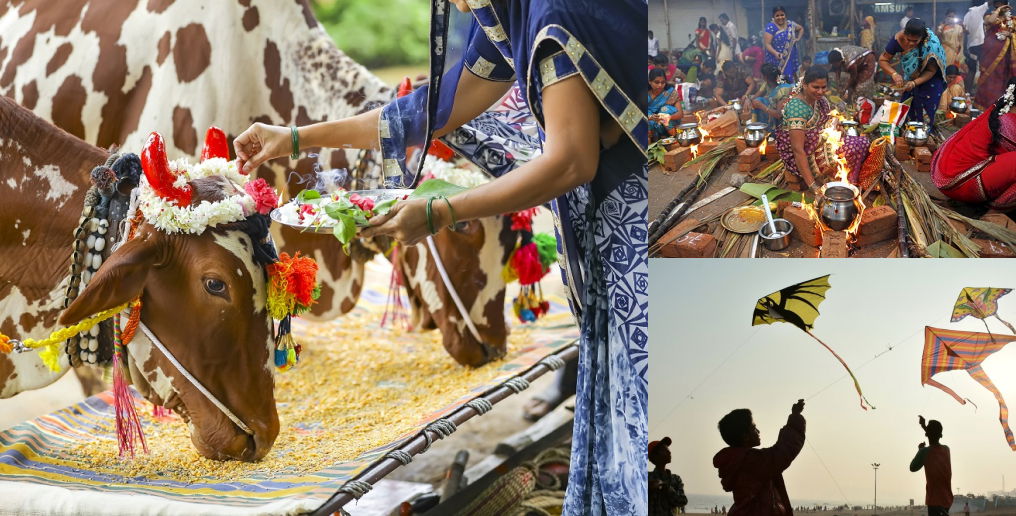 Makar Sankranti | List of important Festivals in India