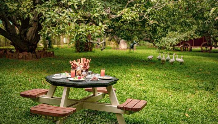 mango mist resort images