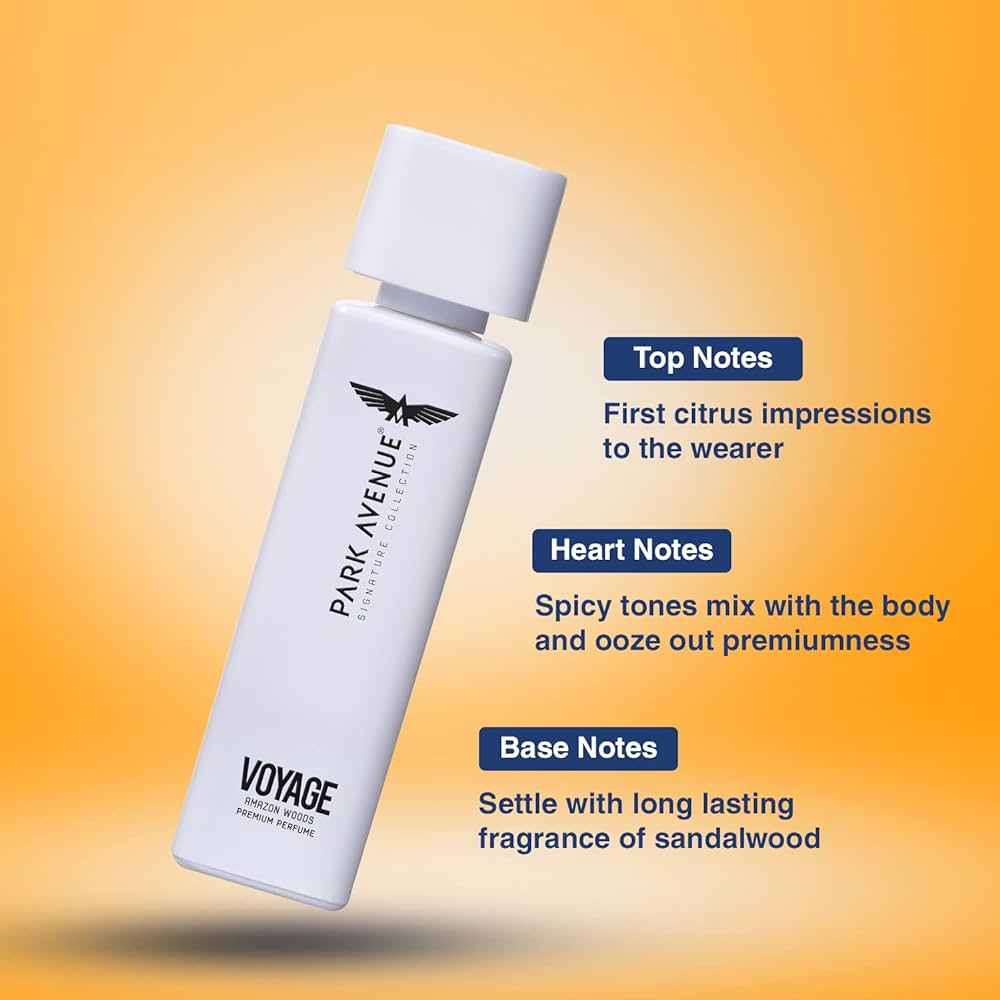 the park avenue voyage