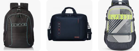 skybag laptop bag
