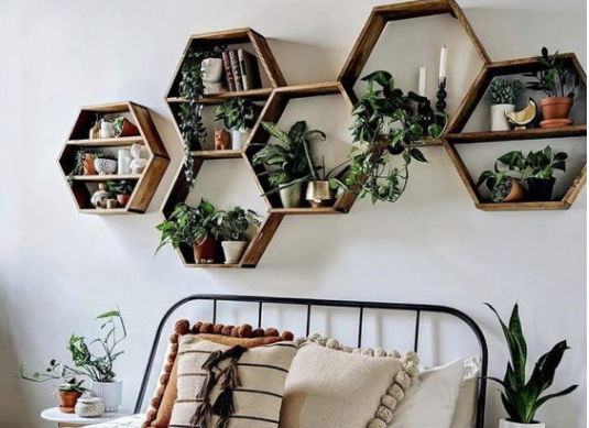 Plant Decor Ideas for Bedroom