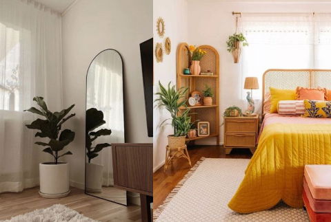 Plant Decor Ideas for Bedroom