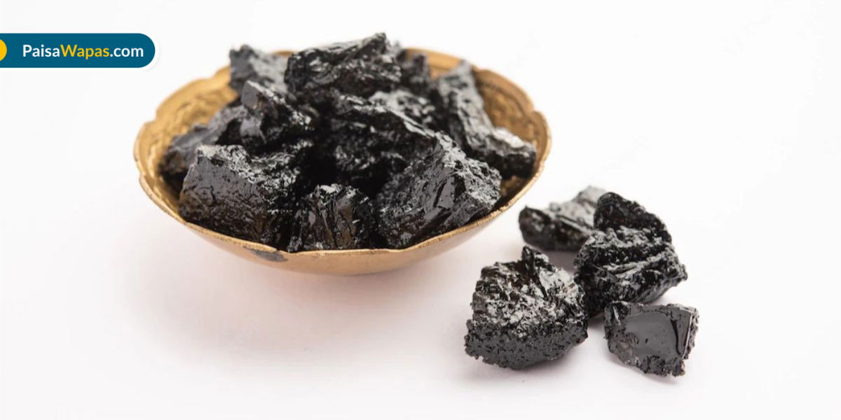 Best Shilajit Brands in India