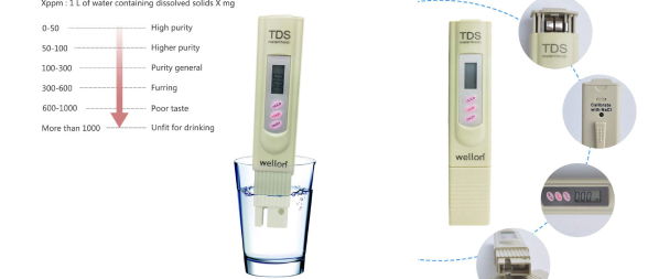 Best Water Testers for Home