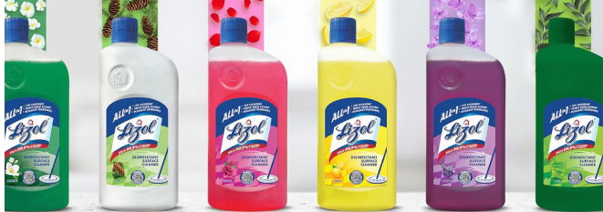 Lizol Liquid Home Cleaner