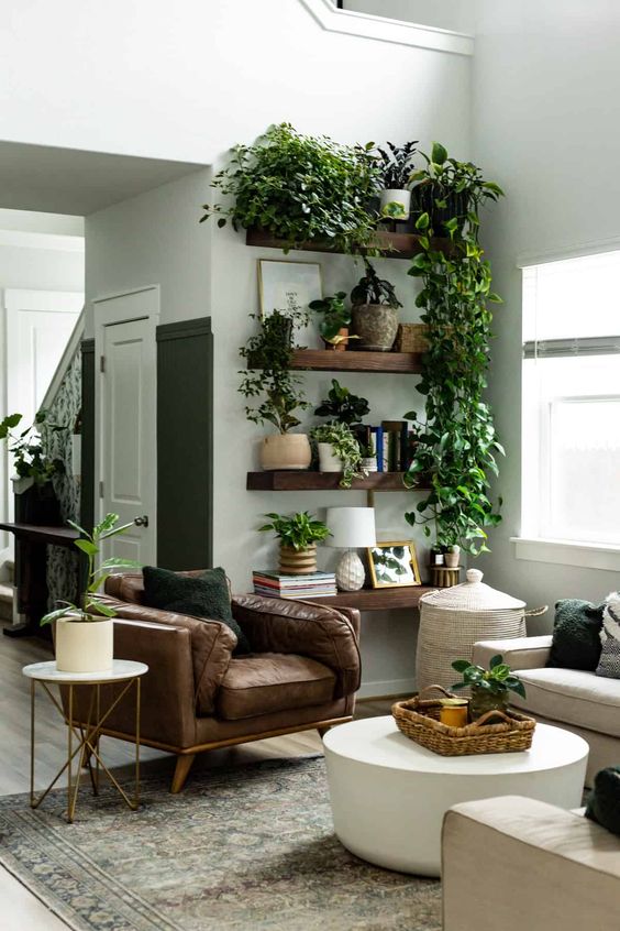 Indoor Plants | Living Room Interior Design