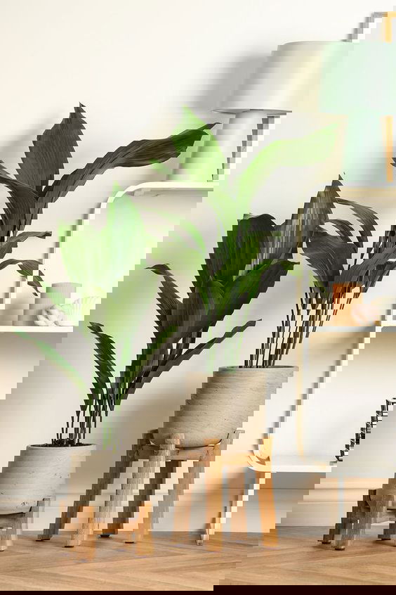 Aesthetic Corner | home decoration ideas