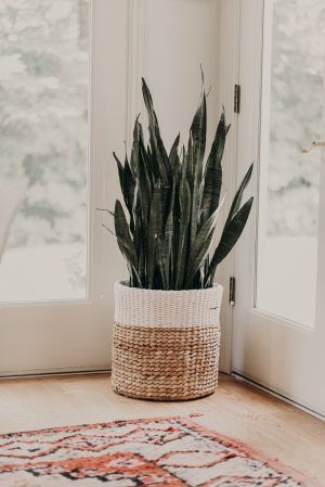 minimum simple decors