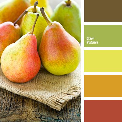food colours for kitchen