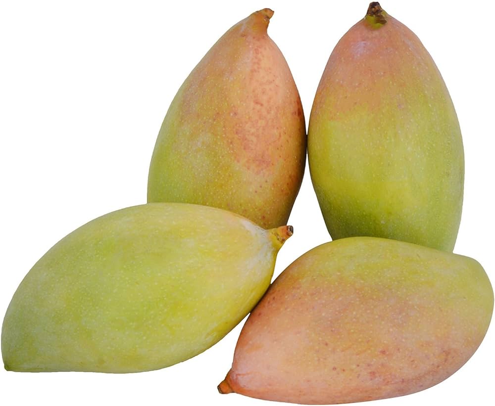 Totapuri Mangoes