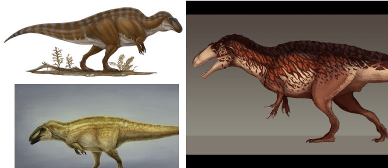 Acrocanthosaurus - Dinosaur Names