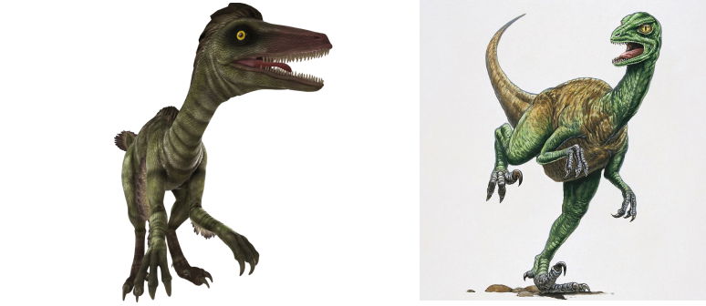 Troodon | List of Dinosaur Images & Names