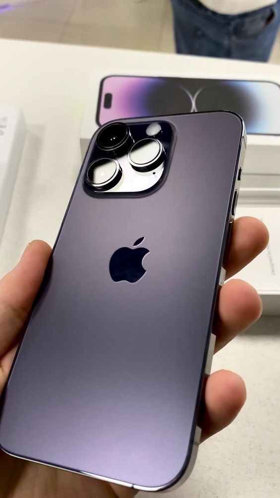 amazon freedom festival