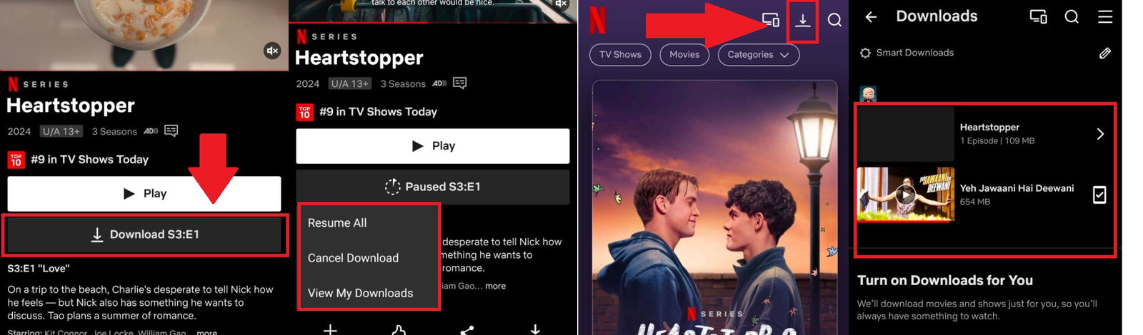 Download Netflix Movies