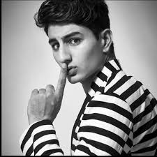 Ibrahim Ali Khan Image