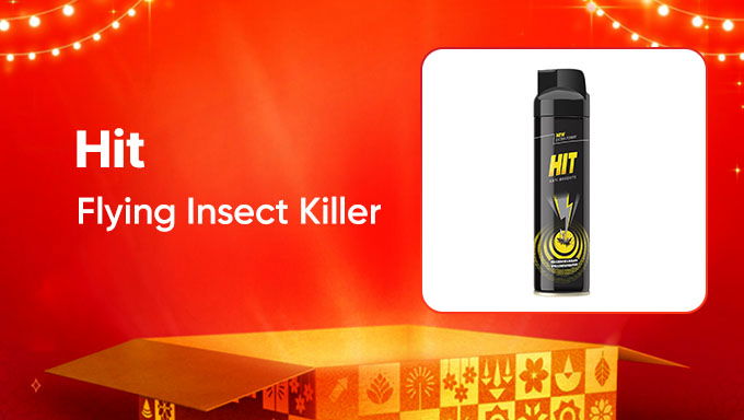 HIT Insect Spray | Kills Mosquitoes & Flies Instantly