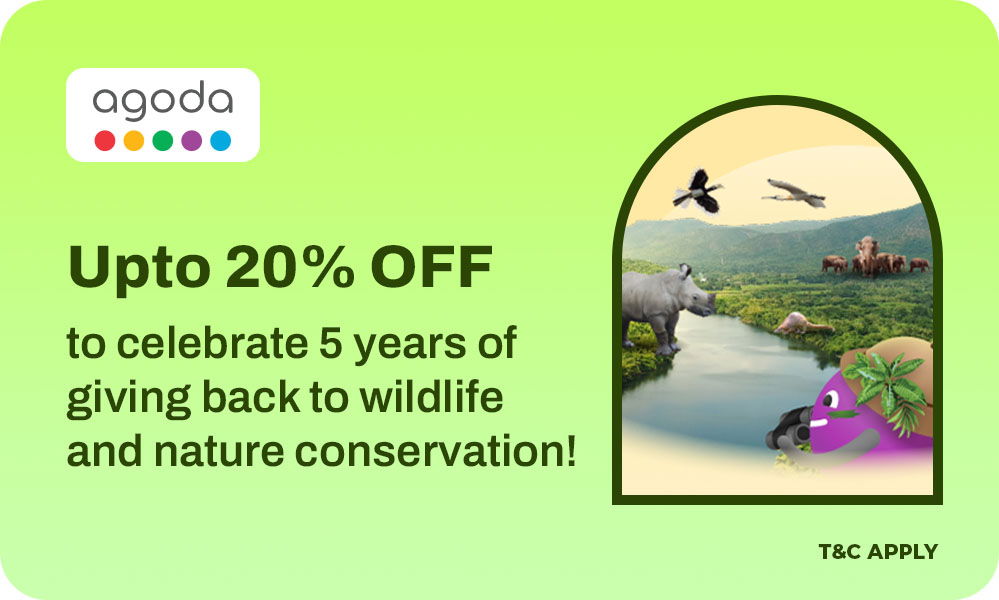 5th Anniversary Special - Save Upto 20% OFF On Hotel Bookings